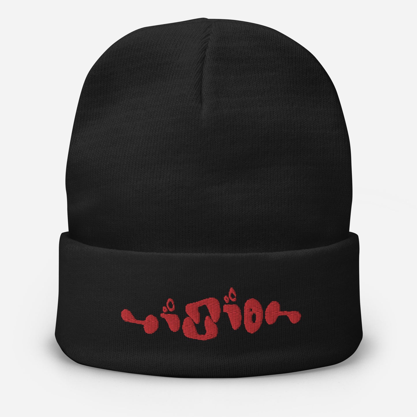 VISION BEANIE